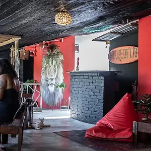 House Of Lion Pantai Cenang (Langkawi)